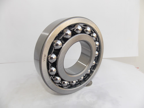 Advanced 1313 Bearing